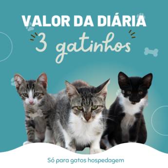 Comprar o produto de Diária para 3 gatos em Gatos em Botucatu, SP por Solutudo