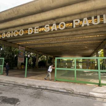 Comprar o produto de Excursão Bate e Volta para Zoológico SP - Lins, Bauru e Região  em Viagens e Turismo em Bauru, SP por Solutudo