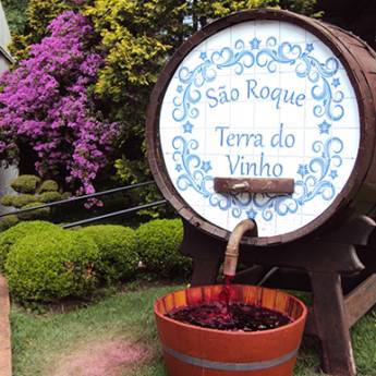 Comprar o produto de Excursão para São Roque (Terra do Vinho) - Lins, Bauru e Região em Viagens e Turismo em Bauru, SP por Solutudo