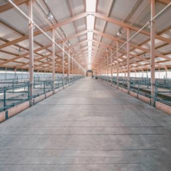 Comprar o produto de Construção de galpão industrial em Construção em Araraquara, SP por Solutudo