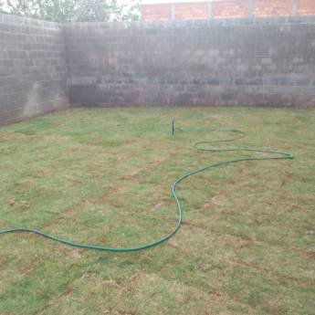 Comprar o produto de Plantação de Grama em Jardinagem em Botucatu, SP por Solutudo Comprar o produto de Plantação de Grama em Jardinagem em Botucatu, SP por Solutudo