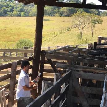 Comprar o produto de Veterinário em Veterinário em Bofete, SP por Solutudo