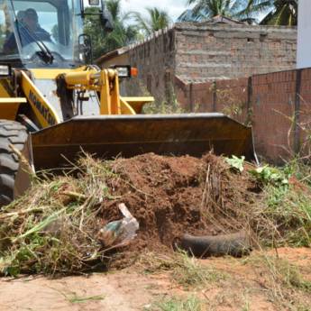 Comprar o produto de Limpeza de Terreno em Limpeza Detalhada  em Pardinho, SP por Solutudo