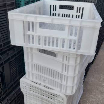 Comprar o produto de Caixa para congelamento - Bauru e Região Atacado / Varejo em Caixas Plásticas em Bauru, SP por Solutudo