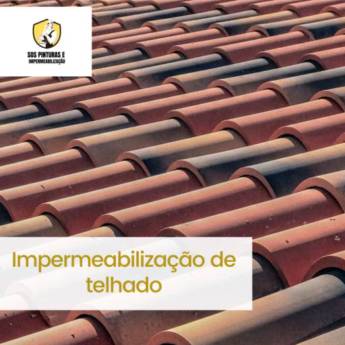 Comprar o produto de Pintura de telhado em Pintura em São Manuel, SP por Solutudo