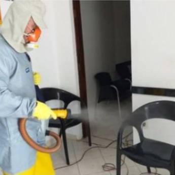 Comprar o produto de Ao contratar o serviço de Dedetização você ganha uma Sanitização - entre em contato para consultar as regras da Promoção! em Dedetização em Bom Jesus da Lapa, BA por Solutudo