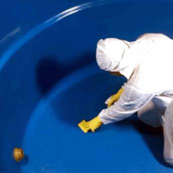 Comprar o produto de Limpeza de Caixa D'água em Limpeza de Caixas D'Água em Bom Jesus da Lapa, BA por Solutudo