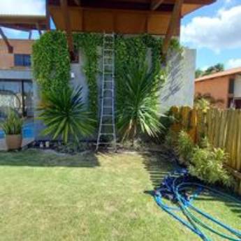 Comprar o produto de Montagem de Jardins em Jardinagem em Barreirinhas, MA por Solutudo