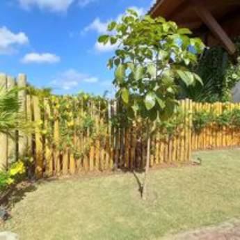 Comprar o produto de Limpeza de Terrenos em Jardinagem em Barreirinhas, MA por Solutudo