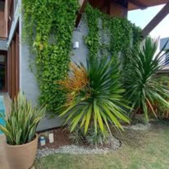 Comprar o produto de Podas em Jardinagem em Barreirinhas, MA por Solutudo