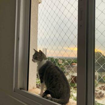 Comprar o produto de Tela de proteção para animais  em Redes de Proteção e Contra Mosquitos em Sinop, MT por Solutudo