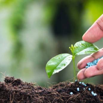 Comprar o produto de Adubo em Fertilizante em Goiânia, GO por Solutudo