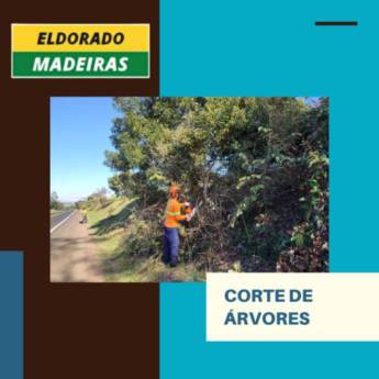 Comprar o produto de Corte de árvore em Madeireiras em Pardinho, SP por Solutudo
