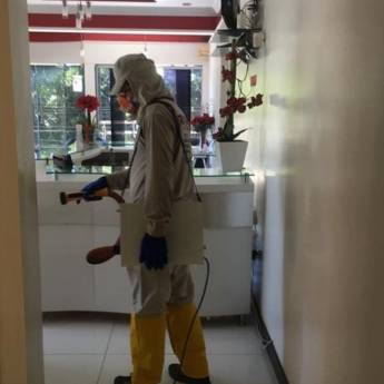 Comprar o produto de Desinsetização em Dedetização em Bom Jesus da Lapa, BA por Solutudo