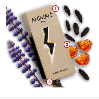 Comprar o produto de Perfume Animale Gold Masculino em Bauru  em Perfumes Importados em Bauru, SP por Solutudo