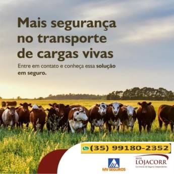 Comprar o produto de Seguro para Transporte de Carga Viva em Seguros em Itajubá, MG por Solutudo