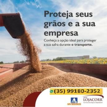 Comprar o produto de Seguro para Transporte de Grãos em Seguros em Itajubá, MG por Solutudo