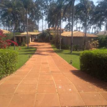 Comprar o produto de Paisagismo em Paisagismo em Riviera de Santa Cristina III, SP por Solutudo