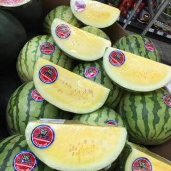 Comprar o produto de Melancia Amarela em Frutarias em Campinas, SP por Solutudo