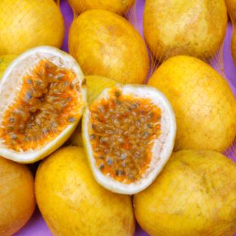 Comprar o produto de Maracujá em Frutarias em Campinas, SP por Solutudo
