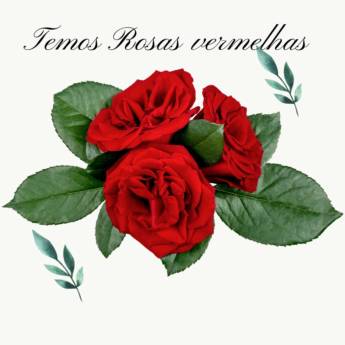 Comprar o produto de Rosas Vermelhas em Floriculturas em Embu das Artes, SP por Solutudo