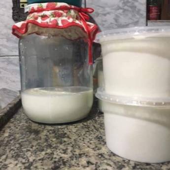 Comprar o produto de Grão de kefir  em Produtos Artesanais em Assis, SP por Solutudo
