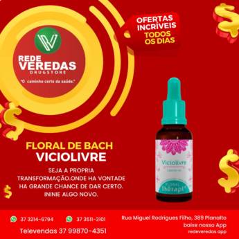 Comprar o produto de Floral de Bach Viciolivre em Florais em Divinópolis, MG por Solutudo