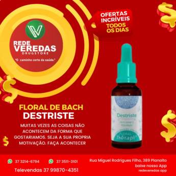 Comprar o produto de Floral de Bach Destriste em Florais em Divinópolis, MG por Solutudo
