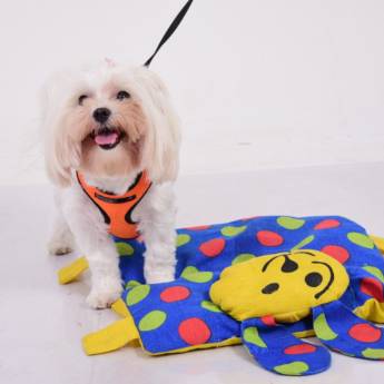 Comprar o produto de Artigos para Animais de Estimação em Artigos Pets em Divinópolis, MG por Solutudo