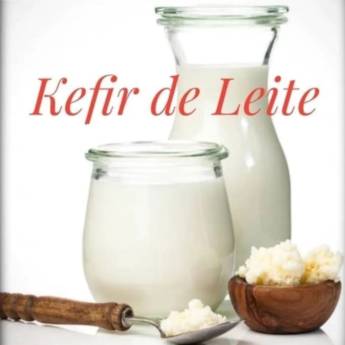 Comprar o produto de Kefir de Leite em Produtos Artesanais em Assis, SP por Solutudo