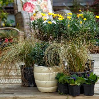 Comprar o produto de Decoração de Ambientes em Casa, Móveis e Decoração em Ninho Verde II Eco Residence, SP por Solutudo