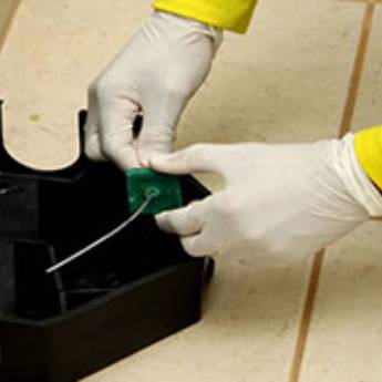 Comprar o produto de Desratização Porto Alegre / Ligue: (51) 9.8269-0631 em Dedetizadoras em Porto Alegre, RS por Solutudo