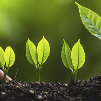 Comprar o produto de  Meio Ambiente em Engenharia Ambiental em Assis, SP por Solutudo