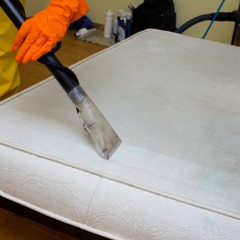 Comprar o produto de Lavagem de cama a seco em Bauru em Limpeza em Bauru, SP por Solutudo