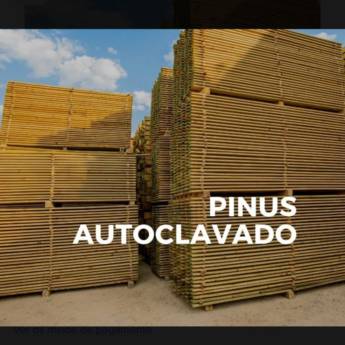 Comprar o produto de Pinus autoclavado em Materiais para Construção em Salto, SP por Solutudo