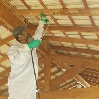 Comprar o produto de Descupinização em Dedetizadoras em Santo André, SP por Solutudo