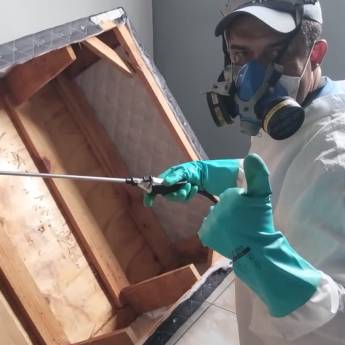 Comprar o produto de Eliminação de Cupins em Dedetizadoras em Santo André, SP por Solutudo