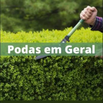 Comprar o produto de Podas em geral em Jardim em Salto de Pirapora, SP por Solutudo