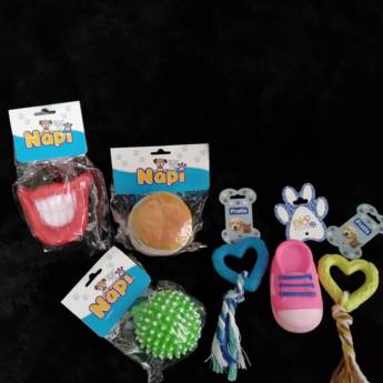 Comprar o produto de Brinquedos para Pet - Diversão e Estímulo - Itanhaém/SP em Casas de Ração em Itanhaém, SP por Solutudo
