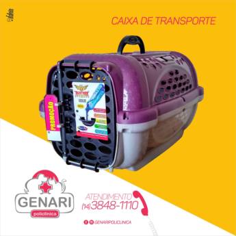 Comprar o produto de Caixa de Transporte em Caixas de Transporte em Itatinga, SP por Solutudo