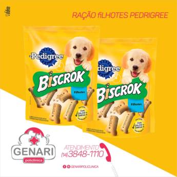 Comprar o produto de Petisco em Petisco para Cachorros em Itatinga, SP por Solutudo