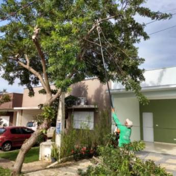 Comprar o produto de Poda em Jardinagem em Votorantim, SP por Solutudo