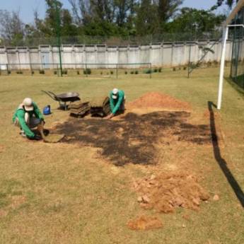 Comprar o produto de Troca de Grama em Jardinagem em Votorantim, SP por Solutudo