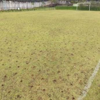 Comprar o produto de Revitalização de Grama em Jardinagem em Votorantim, SP por Solutudo