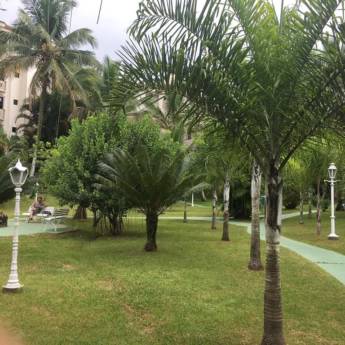 Comprar o produto de Paisagismo em Paisagismo em Votorantim, SP por Solutudo