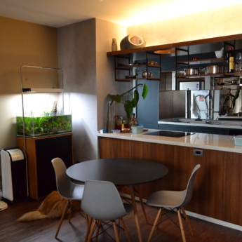 Comprar o produto de Projeto Residencial em Arquitetura e Urbanismo em São Paulo, SP por Solutudo