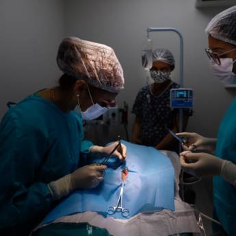 Comprar o produto de Cirurgia em Clínicas Veterinárias em Mineiros, GO por Solutudo