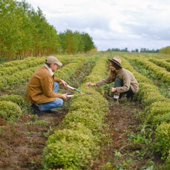Comprar o produto de Carpir quintal em Paisagismo em Salto de Pirapora, SP por Solutudo