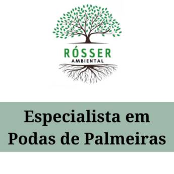 Comprar o produto de Especialista em Podas de Palmeiras em Serviços Ambientais em Itapetininga, SP por Solutudo