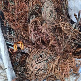 Comprar o produto de Compra de Cobre queimado em Bauru em Reciclagem em Bauru, SP por Solutudo